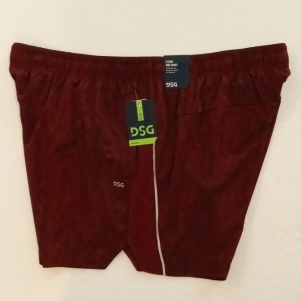 DSG Stride Run Short